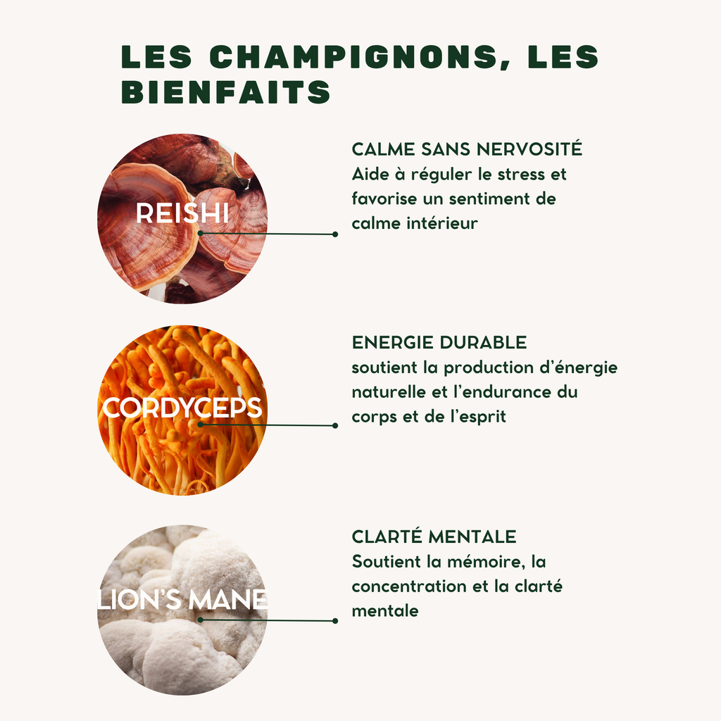 MATCHA ADAPTOGENE- Énergie et concentration durable, sans nervosité ni inconfort