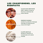 MATCHA ADAPTOGENE- Énergie et concentration durable, sans nervosité ni inconfort