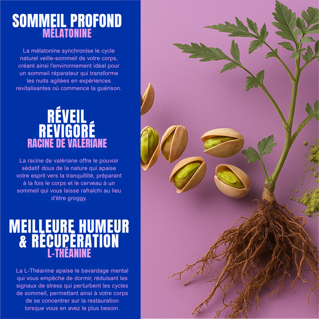 VOTRE SOMMEIL DANS UNE BANDE