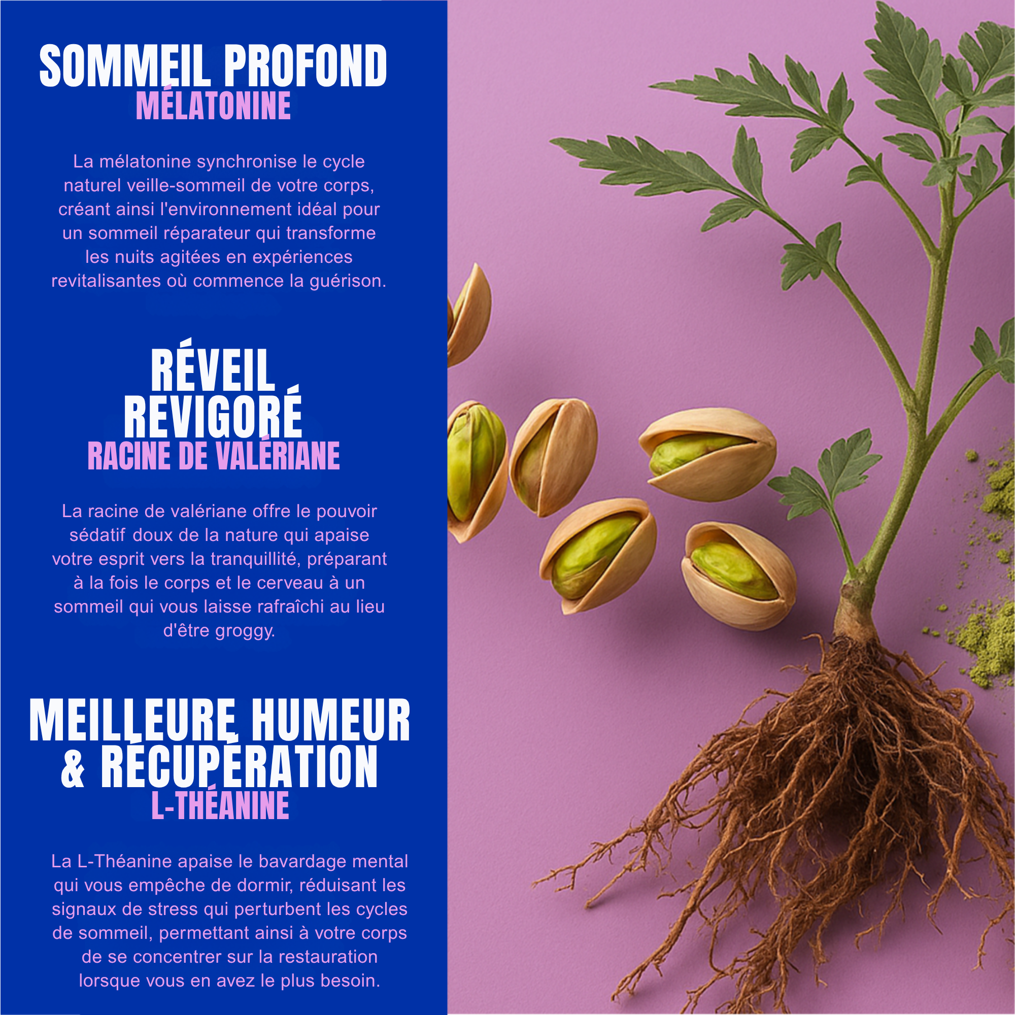VOTRE SOMMEIL DANS UNE BANDE