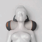 PhysioRest™