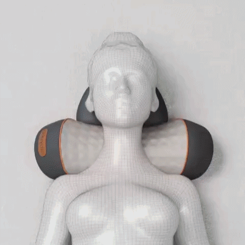 PhysioRest™