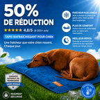Couverture rafraichissante – Plus de fraîcheur et de repos pour votre chien