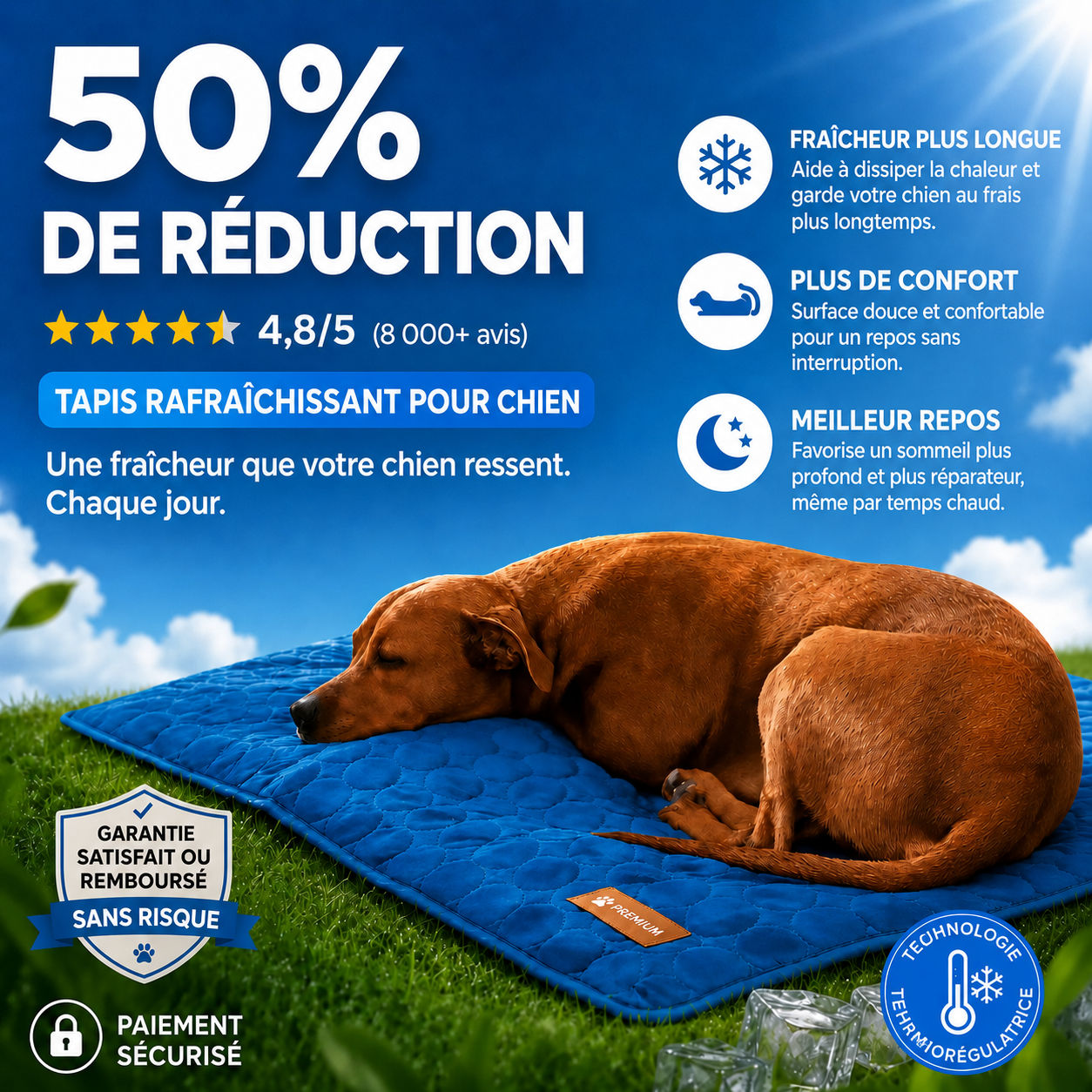 Couverture rafraichissante – Plus de fraîcheur et de repos pour votre chien