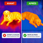 Couverture rafraichissante – Plus de fraîcheur et de repos pour votre chien