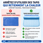 Couverture rafraichissante – Plus de fraîcheur et de repos pour votre chien