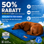 Kühlmatte für Hunde – mehr Frische und erholsame Ruhe
