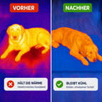 Kühlmatte für Hunde – mehr Frische und erholsame Ruhe