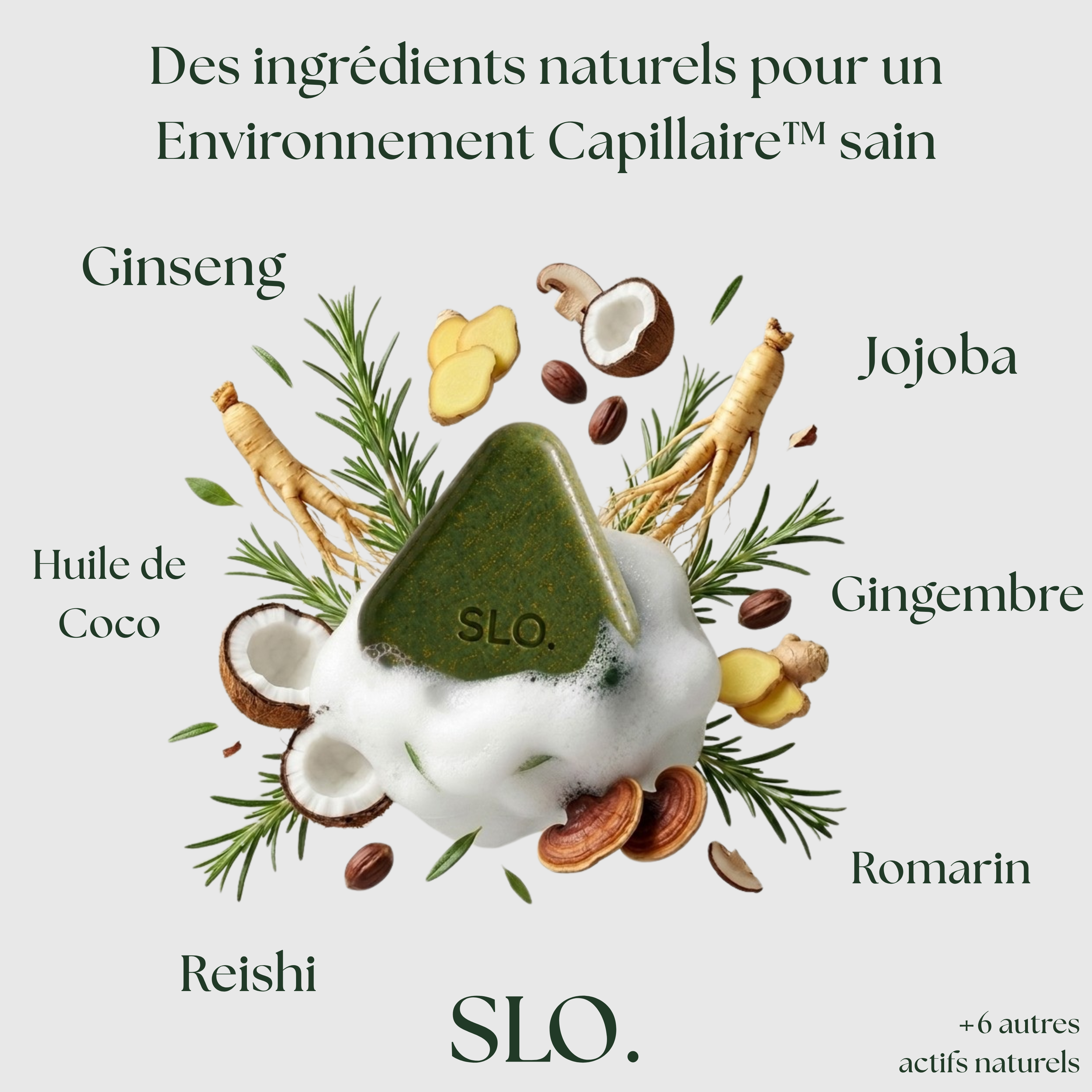 SLO | Shampoing Solide Environnement Capillaire™