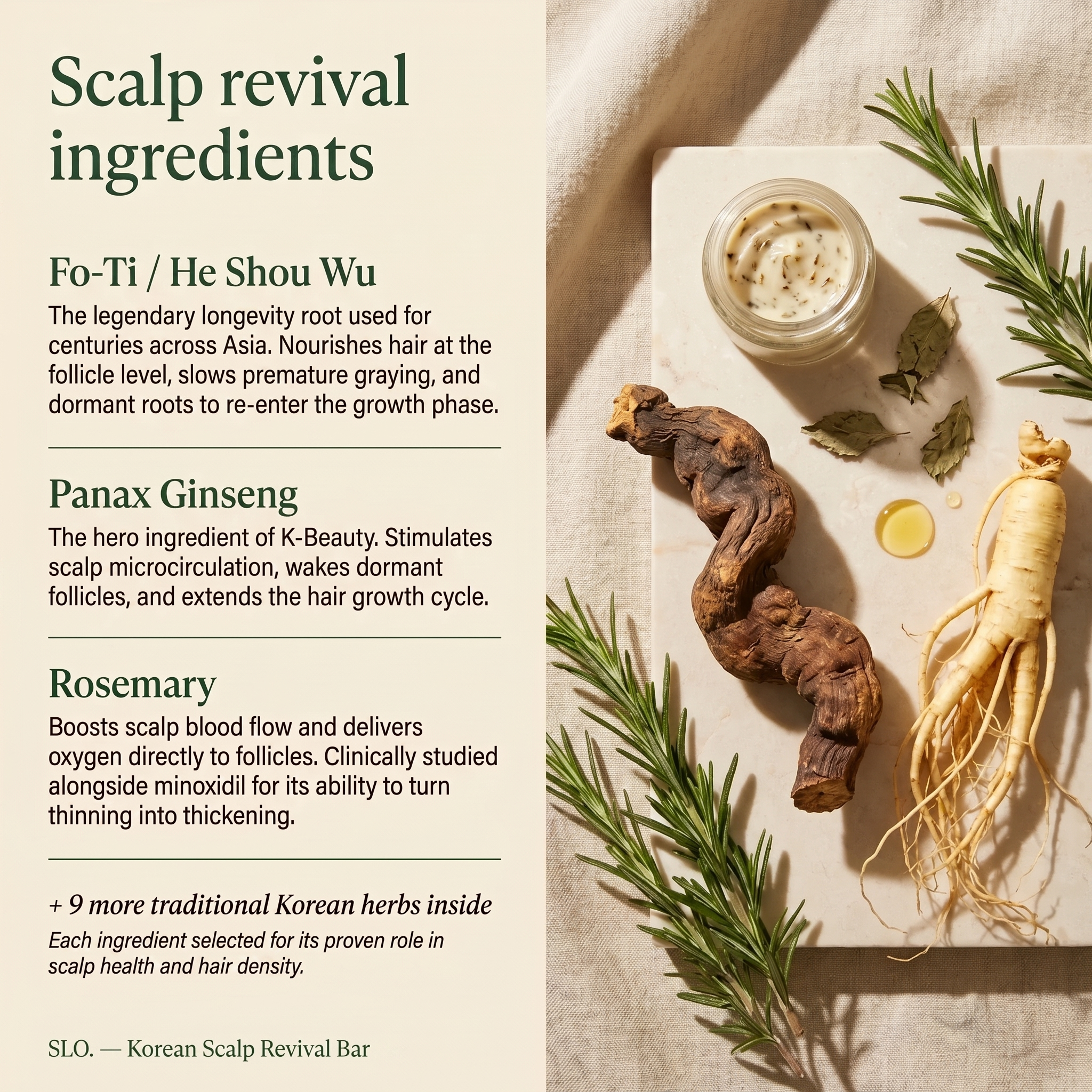SLO | Korean Scalp Revival Bar